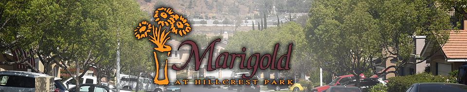 Marigold Logo